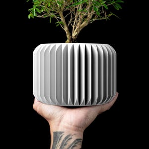 May include: A white, ribbed planter holds a small bonsai tree with green leaves and a brown trunk. The cylindrical planter is held in a hand against a black background. The planter's design features vertical grooves.