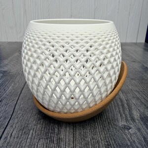 May include: A white ceramic planter with a lattice design, sitting on a terracotta saucer. The planter has a round shape with a textured surface. The saucer is a light brown color.