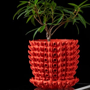 May include: A small green plant in a bright orange, spiky, 3D printed planter. The planter has a unique design with many small holes.