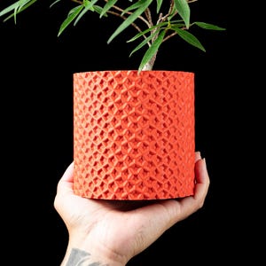 May include: A vibrant orange cylindrical planter with a geometric pattern, holding a small green plant. The planter is held in a hand against a black background. The planter is approximately 5 inches tall.