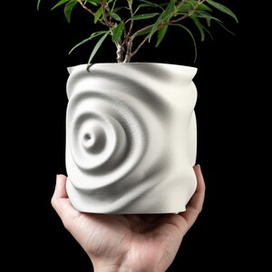 May include: A white ceramic planter with a swirling, textured design. The planter is holding a small green plant.