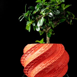May include: A small bonsai tree in a vibrant orange, spiral-patterned pot. The pot has a textured surface and is set against a black background. The bonsai has green leaves and a brown trunk.