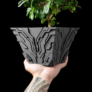 May include: A gray, geometric planter with a bonsai tree. The planter has a textured, circuit board-like design. The bonsai has small green leaves and a brown trunk. The background is black.