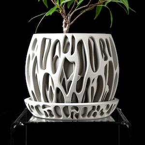 May include: White ceramic planter with an intricate, organic pattern. The planter has a wide, round base and a narrow opening at the top. A small green plant is growing inside the planter.