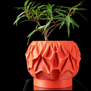 Indoor Planter Pot, Modern Home Decor with Saucer Drip Tray, with Drainage, Perfect Gift, Houseplants, Ecofriendly, 3D printed, Sci-Fi
