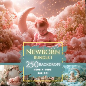 250 Neugeborene Digitaler Hintergrund, Blumen Baby Hintergrund, Boho Flower Hoop Overlay, Frühling Studio Backdrop, Photoshop Composite Prop