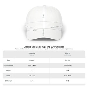 Consigue la gorra de confirmación, empuje y repetición / gorra de desarrollador de programación imagen 9