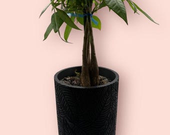 Palm Planter with hidden drip try