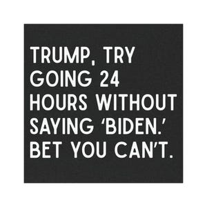 Anti Trump, Car Magnet, Free shipping, car decal, car sticker, democratic
