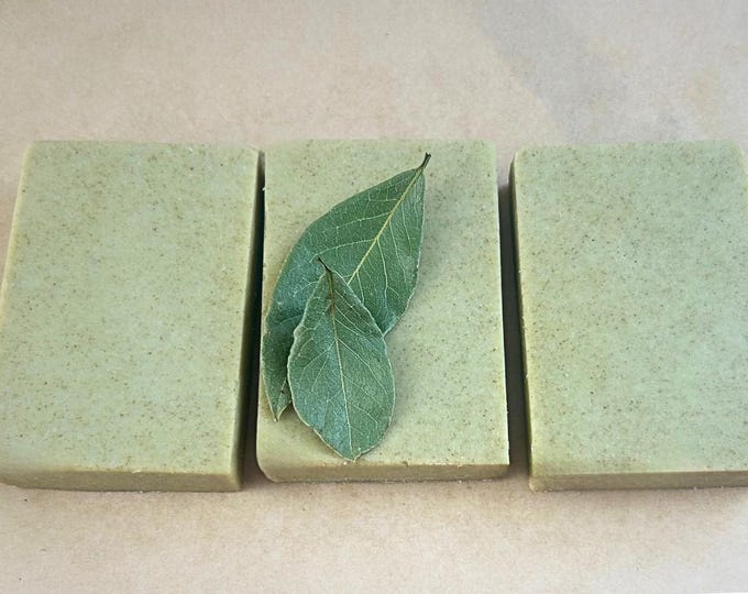 Eucalyptus Mint Soap Bar