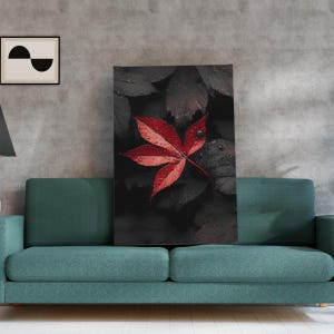Rotes Blatt auf dunklem Hintergrund, Minimalistischer Natur Druck, Stimmungsvolle Botanische Wandkunst, Herbstblatt Poster, Modernes Kontrast Dekor