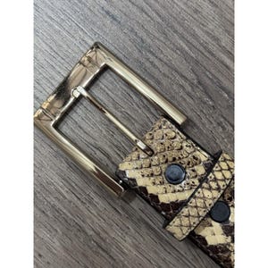 May include: A close-up of a belt with a gold-colored rectangular buckle. The belt is patterned with a snakeskin design in shades of brown, tan, and black. Two black rivets secure the belt strap.