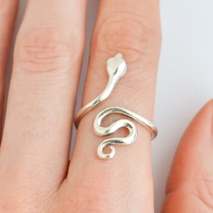 May include: A silver snake ring with a coiled body and a raised head. The ring is worn on a finger.
