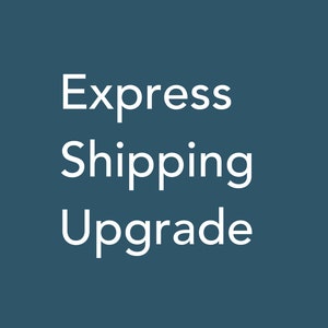 May include: White text on a dark blue background reads "Express Shipping Upgrade".