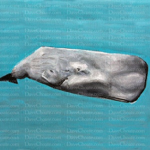 Sperm Whale - Art Print from original painting