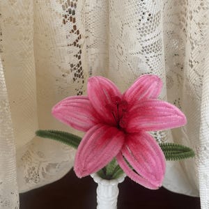 Op de afbeelding: Een roze pijpenragerbloem met groene bladeren in een witte vaas. De bloem heeft zes bloemblaadjes en een donkerroze centrum. De vaas is lang en heeft textuur. Een crèmekleurig kanten gordijn staat op de achtergrond.