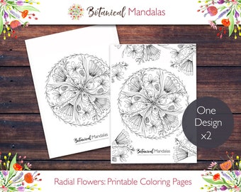 Printable RADIAL FLOWER MANDALA Botanical Mandala Coloring Pages