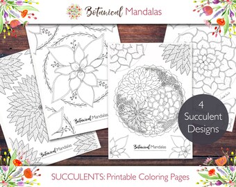 Printable Succulent Botanical Mandalas Coloring Pages bundle (includes FREE Coloring videos)
