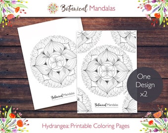 Printable HYDRANGEA Flower Mandala Botanical Mandala Coloring Pages