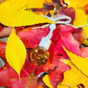 Puede incluir: Una pequeña botella redonda de vidrio con una tapa blanca y una cuerda decorativa, llena de un líquido dorado. La botella se encuentra sobre un fondo de vibrantes hojas de otoño rojas y amarillas, creando un tema estacional.