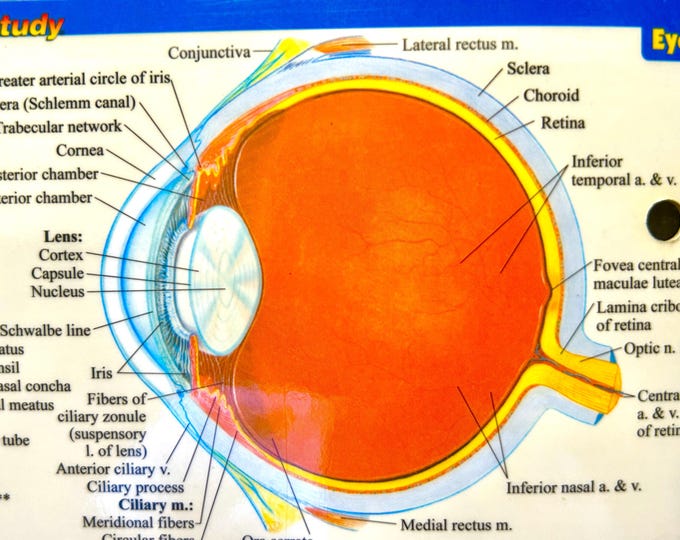 Featured listing image: Clairvoyant Psychic Reading • Prophetic Destiny Forecast