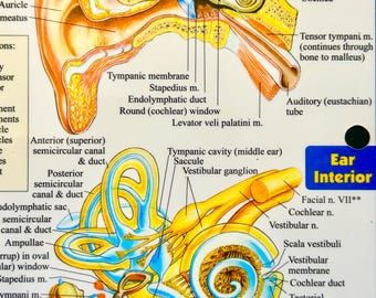 Clairaudient Psychic Reading • Angel Messages