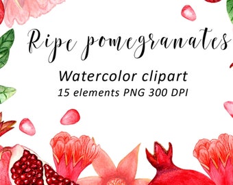 Pomegranate Watercolor Clipart, Fruits & Flowers PNG Digital Download