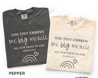 May include: Two t-shirts, one pepper-colored and one ivory, with the text "ONE TINY EMBRYO one big miracle ALL OUR TRUST IN GOD JEREMIAH 29:11". Each shirt has a small star necklace. The design includes a rainbow and a heart.