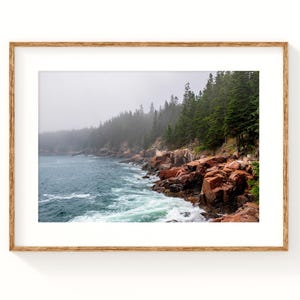 Acadia&#39;s Edge, Acadia National Park, Park Loop, Maine Photography, Trees, Ocean, National Park Photo, Mount Desert Island, Kristina O&#39;Brien