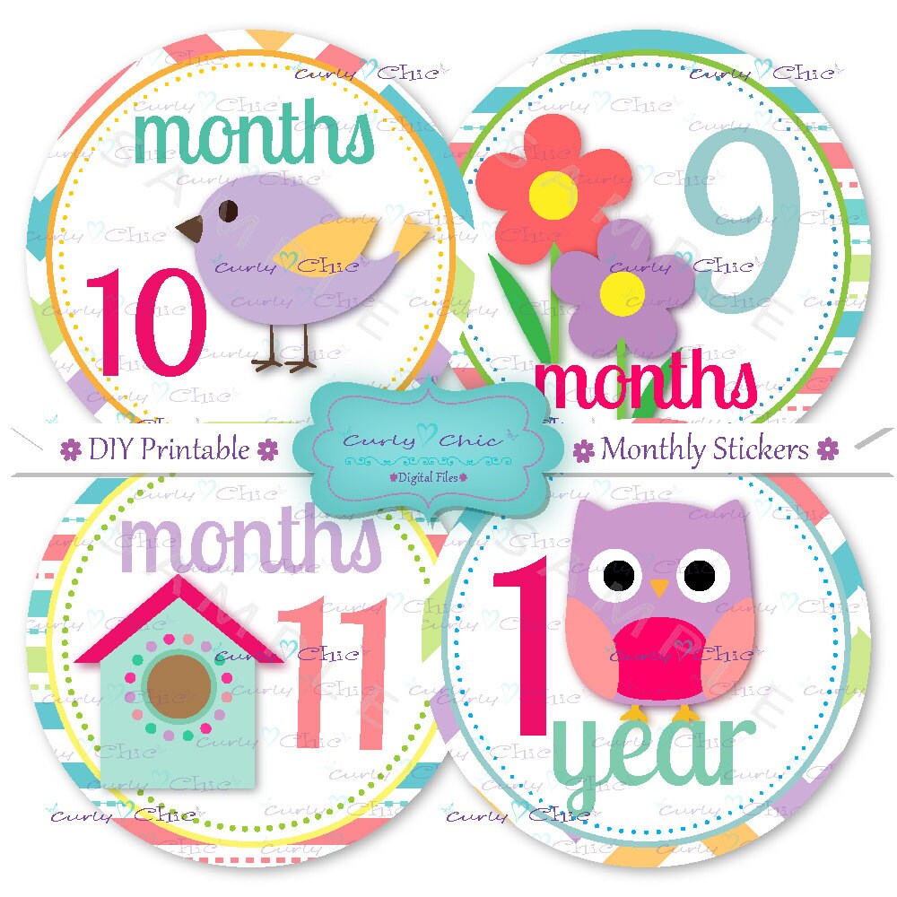 INSTANT DOWNLOAD Printable Monthly Baby Girl Stickers 4 | Etsy