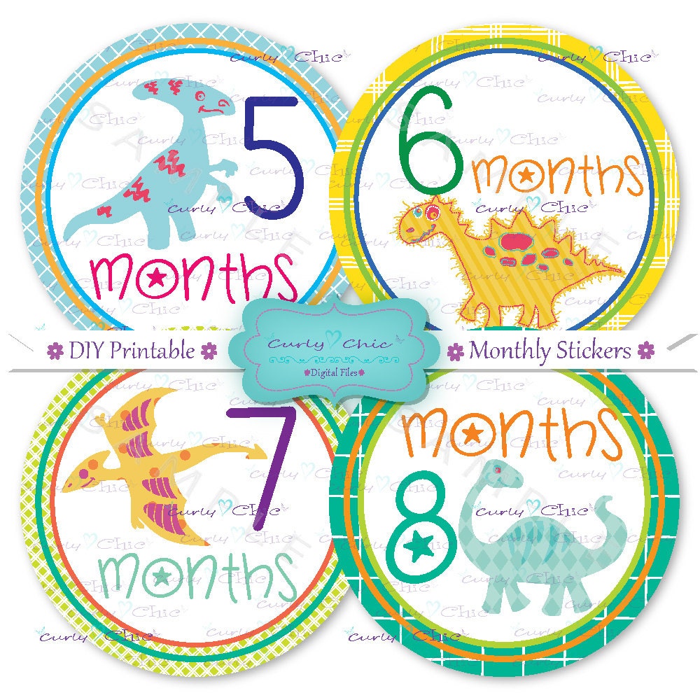 INSTANT DOWNLOAD -12 Printable Monthly Baby Stickers 4
