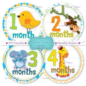 12 Printable Monthly Baby Stickers -Baby Boy Grow Up Signs 4"-Baby Cute Jungle Animals Labels -Hello I have a new Month PNG INSTANT DOWNLOAD