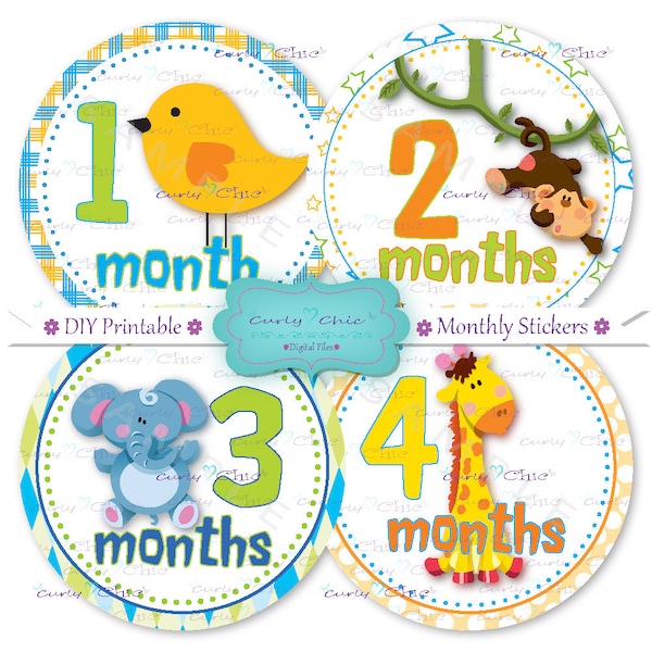 Printable Baby Month - Etsy