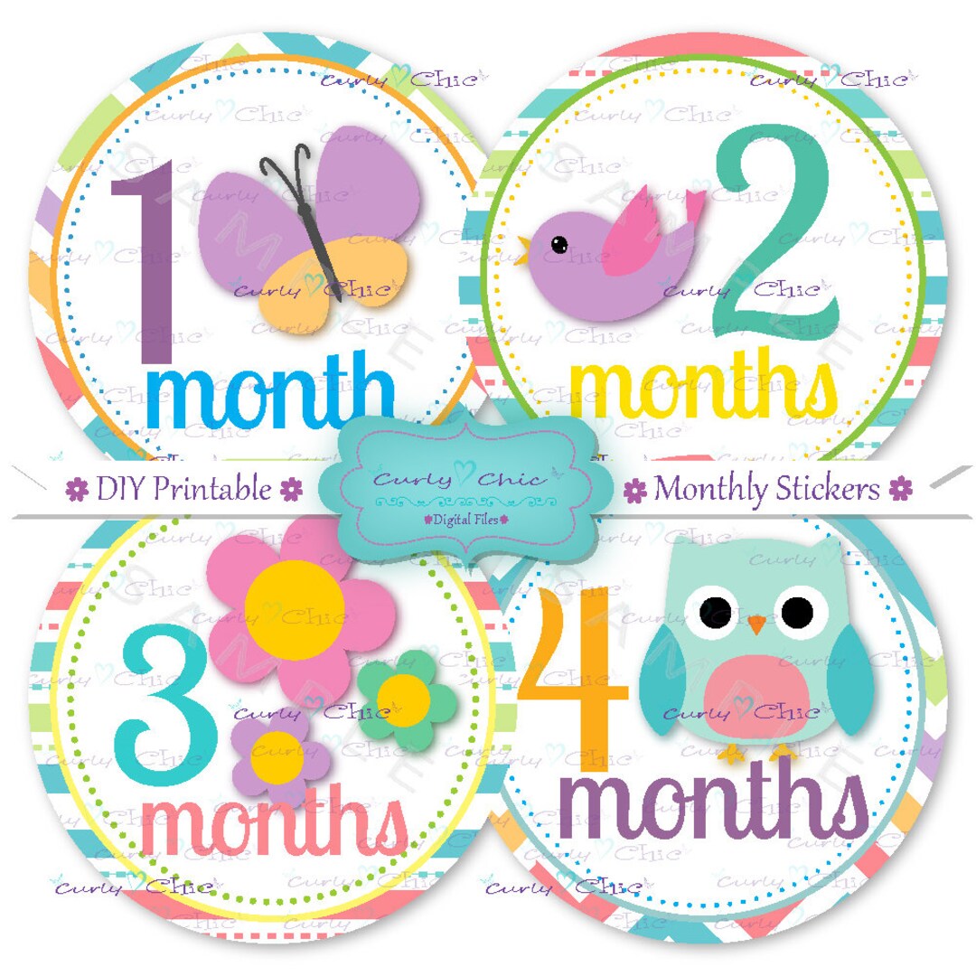 12 Printable Monthly Baby Stickers -baby Girl Grow up Signs 4"-cute ...