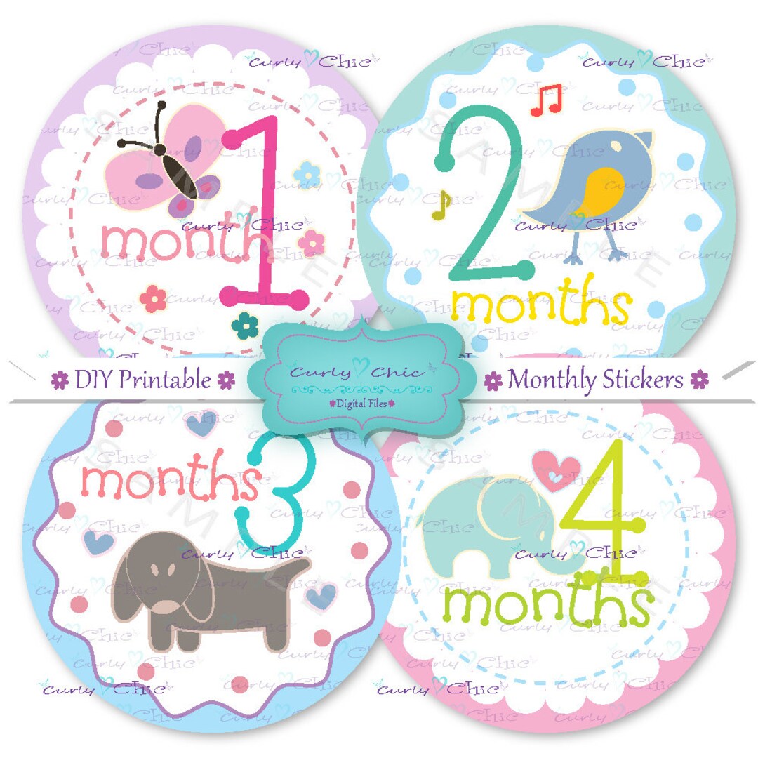 Printable Monthly Baby Stickers -baby Girl Grow up Signs 4