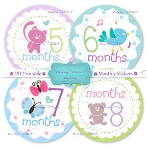 Printable Monthly Baby Stickers -baby Girl Grow up Signs 4"-cute ...
