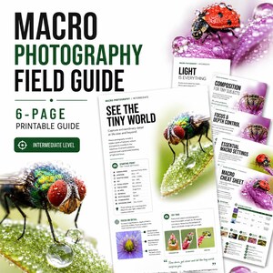 May include: A 6-page printable macro photography field guide for intermediate levels. The guide features text titled Macro Photography Field Guide, See The Tiny World, Light Is Everything, Composition For Tiny Subjects, Focus & Depth Control, Essential Macro Settings, and Macro Cheat Sheet, alongside images of a fly and a ladybug on leaves.