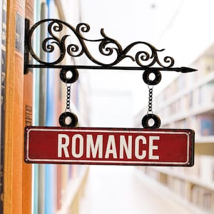 May include: A decorative metal sign with the word "ROMANCE" in white lettering on a red background. The sign hangs from a black, ornate bracket with a scrolled design, attached to a row of books. The background shows a blurred library setting.