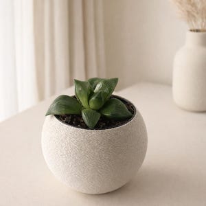 Maceta redonda moderna para suculentas: maceta de burbujas con forma de cactus - Compatible con macetas IKEA de 6 cm