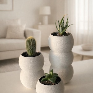 Succulent Bubble Planter Set of 3: Modern Cactus Home & Office Decor