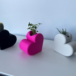 May include: Three heart-shaped planters in black, hot pink, and white. Each planter holds a different plant: a cactus, leafy green plant, and succulent. The planters are on a white surface.
