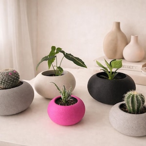 Modern Succulent Bubble Planter: Cactus Plant Pot, Fits IKEA 6-9.5cm pots