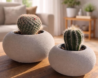Bulk Order Succulent Bubble Planter: Modern Cactus Pot - Fits IKEA 6/9.5cm Pots