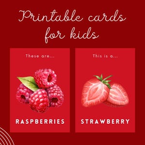 Cartes de fruits imprimables pour les enfants. Fichier PDF. 23 cartes recto-verso. Cartes colorées pour apprendre les fruits pour les enfants.