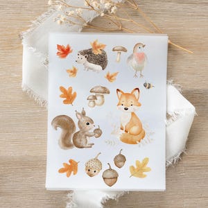 Könnte beinhalten: Eine weiße Karte mit Aquarellillustrationen von Waldtieren und Herbstmotiven. Das Design umfasst einen Igel, einen Fuchs, ein Eichhörnchen, einen Vogel, Pilze, Eicheln, Blätter und eine Biene. Die Farbpalette besteht aus warmen Braun-, Orange- und Grüntönen.