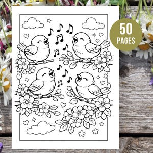 Peut inclure: Illustration en noir et blanc de quatre oiseaux chantant perch&eacute;s sur des branches fleuries, avec des notes de musique, des nuages, des c&oelig;urs et des &eacute;toiles. L'image est &eacute;tiquet&eacute;e "50 PAGES". Il s'agit d'un livre de coloriage.