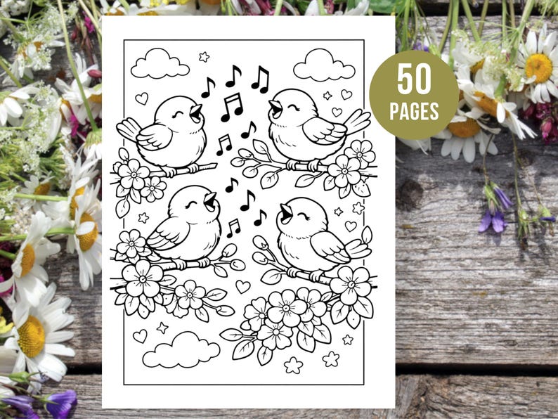 Peut inclure: Illustration en noir et blanc de quatre oiseaux chantant perch&eacute;s sur des branches fleuries, avec des notes de musique, des nuages, des c&oelig;urs et des &eacute;toiles. L'image est &eacute;tiquet&eacute;e "50 PAGES". Il s'agit d'un livre de coloriage.