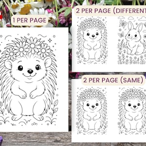 Peut inclure: Pages &agrave; colorier imprimables en noir et blanc avec un h&eacute;risson souriant portant une couronne de marguerites. L'image comprend &eacute;galement un lapin avec des papillons et des fleurs, et deux h&eacute;rissons identiques. Le texte indique "1 PAR PAGE" et "2 PAR PAGE (DIFF&Eacute;RENT)" et "2 PAR PAGE (M&Ecirc;ME)".