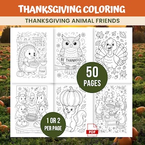 May include: Thanksgiving coloring book featuring Thanksgiving Animal Friends. The cover shows a collection of black and white illustrations of animals, including an owl, turkey, and squirrel, with the text "50 PAGES". The background shows a pumpkin patch.