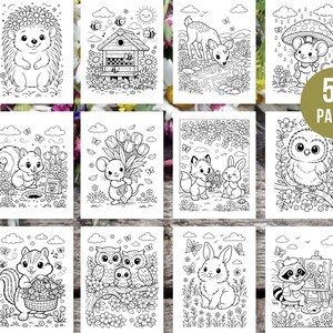 Peut inclure: Une collection de 10 pages &agrave; colorier en noir et blanc repr&eacute;sentant diverses cr&eacute;atures et sc&egrave;nes de la for&ecirc;t, dont un h&eacute;risson, des abeilles, un cerf, une souris, un &eacute;cureuil, un renard, un lapin, un hibou et un raton laveur. Les pages sont &eacute;tiquet&eacute;es "50 PAGES".
